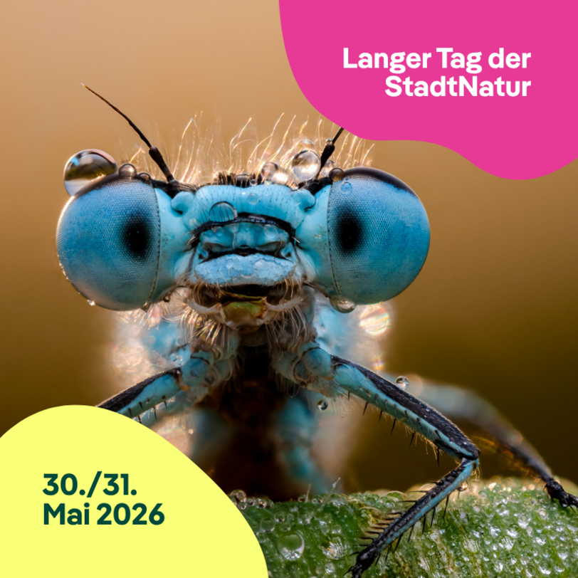 Kampagnenbild Langer Tag der StadtNatur 2026