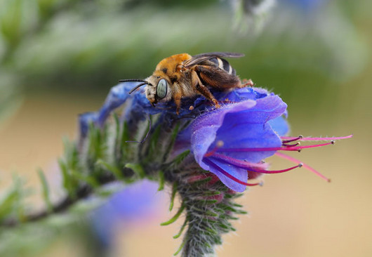 Jahresrückblick 2019