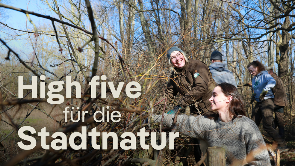 Pflegeeinsatz der Stadtnatur-Ranger am Malchower See