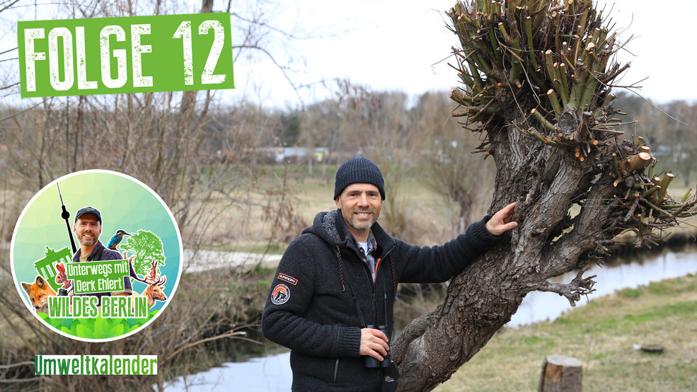 Derk Ehlert im Erpetal