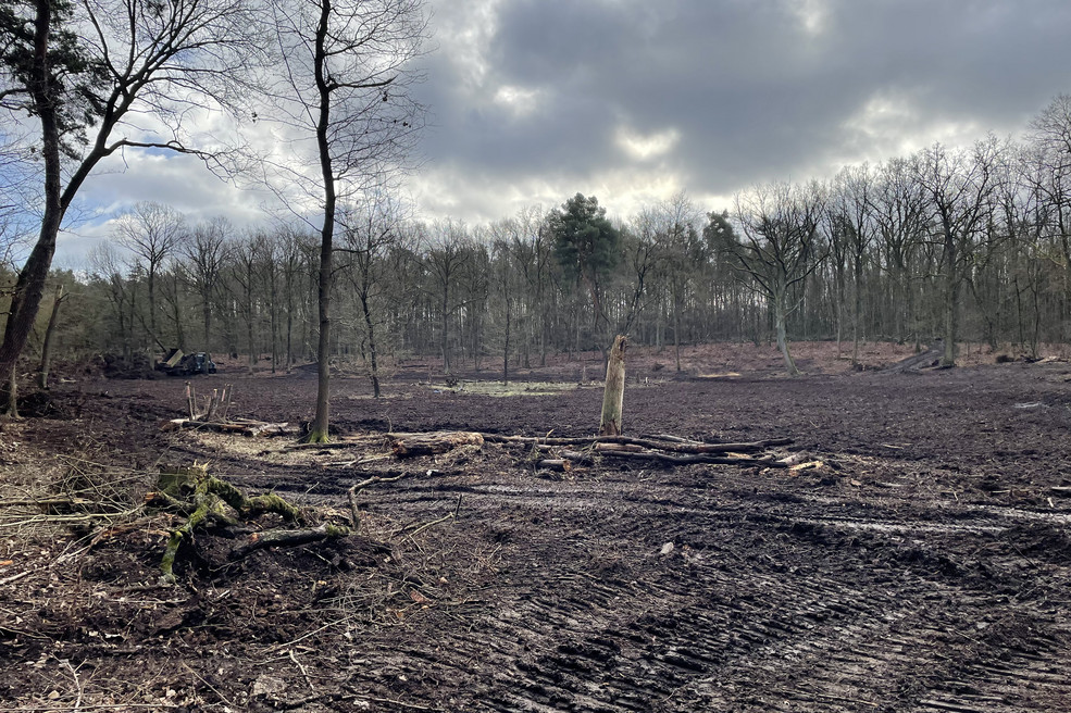 Versunkener See - während der Renaturierungsmaßnahmen