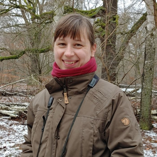 I. Müller