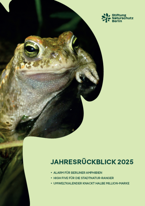 Vorschaubild Jahresrckblicke