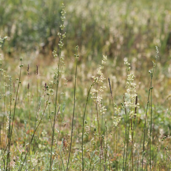 Vorschaubild Pressemitteilung