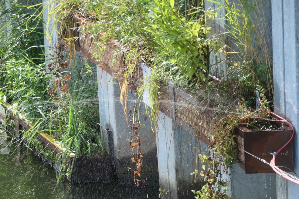 Wasserstrahl über den Pflanzen an der Spundwand