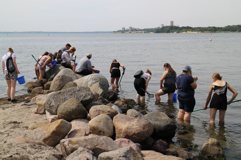 Eine Gruppe von Menschen, bis zu den Knien im Wasser stehend, durchsuchen das Wasser mit Hilfsmitteln.