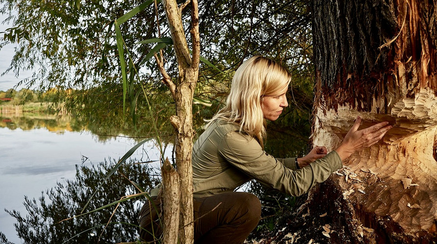 Vorschaubild Stadtnatur-Ranger 