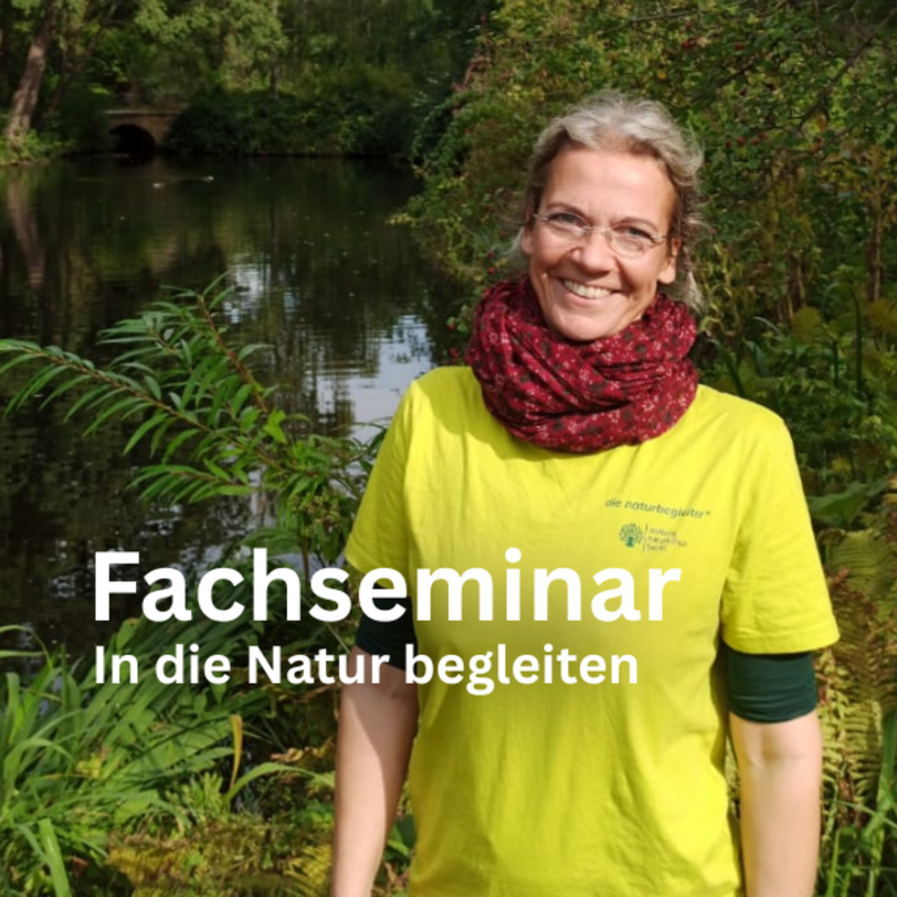 Vorschaubild Fachseminar 