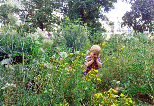 Kinder in der Natur
