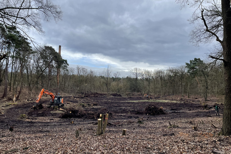 Versunkener See - während der Renaturierungsmaßnahmen