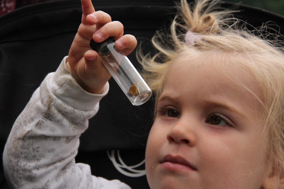 Natur mit Kinderaugen entdecken