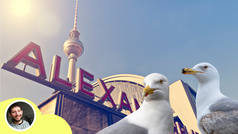 Großmöwen in Berlin