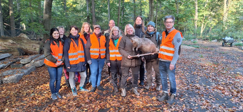 Green Social Day Biber im Großen Tiergarten