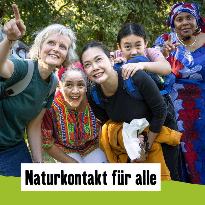 Titelbild Naturbegleiter-Spendenkampagne 