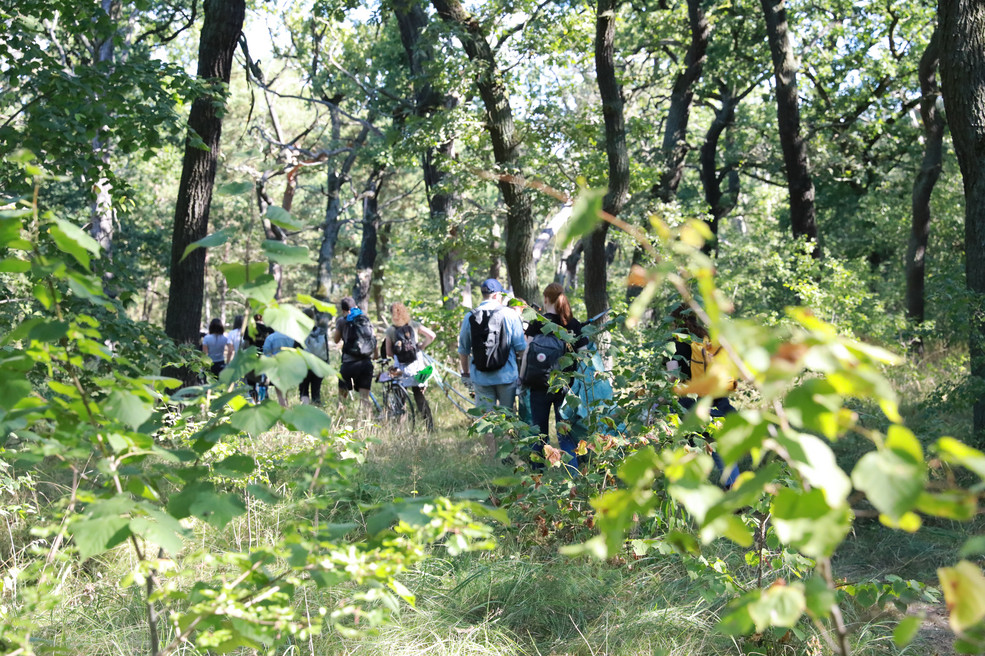 Mehrere Menschen laufen hintereinander durch einen Wald