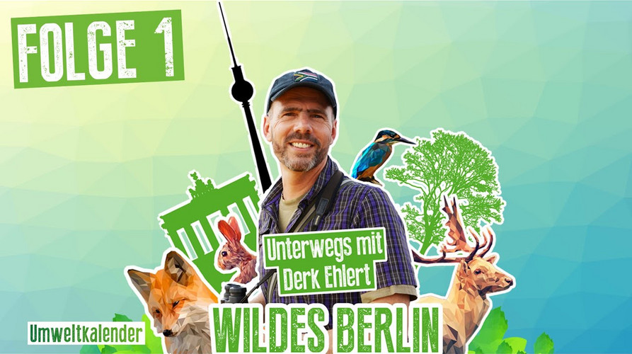Teaserbild Folge 1 Wildes Berlin