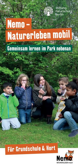 Nemo Flyer Frontansicht