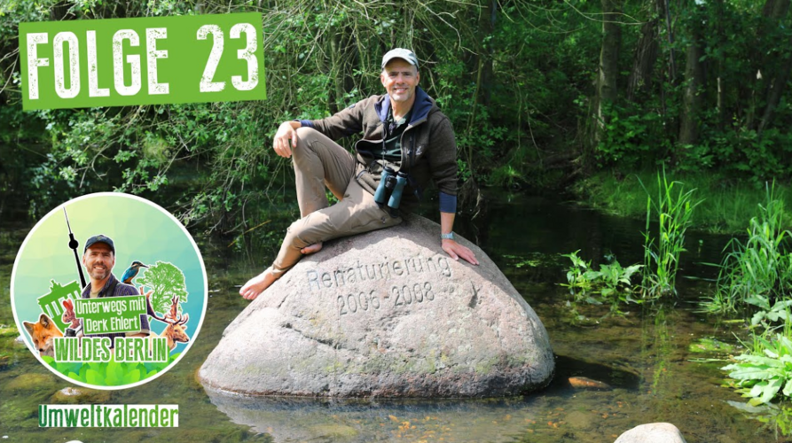 Vorschaubild Wildes Berlin Folge 23