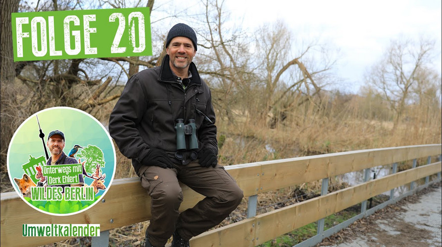 Vorschaubild Wildes Berlin Folge 20