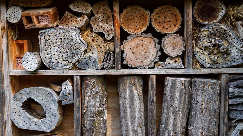 Blogbeitrag Insektenhotel 