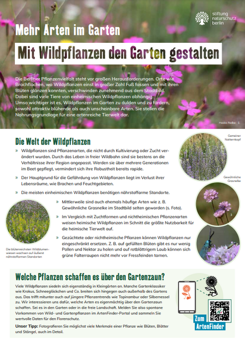 Frontansicht Merkzettel Wildpflanzen für den Garten
