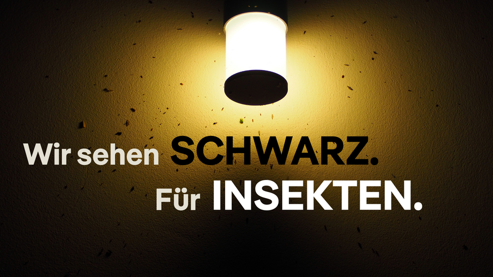 Lampe mit Lichtkegel, in dem kleine Punkte zu sehen sind. Darüber Text: Wir sehen Schwarz. Für Insekten.