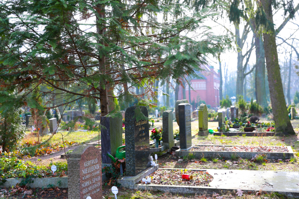 Leben auf dem Friedhof