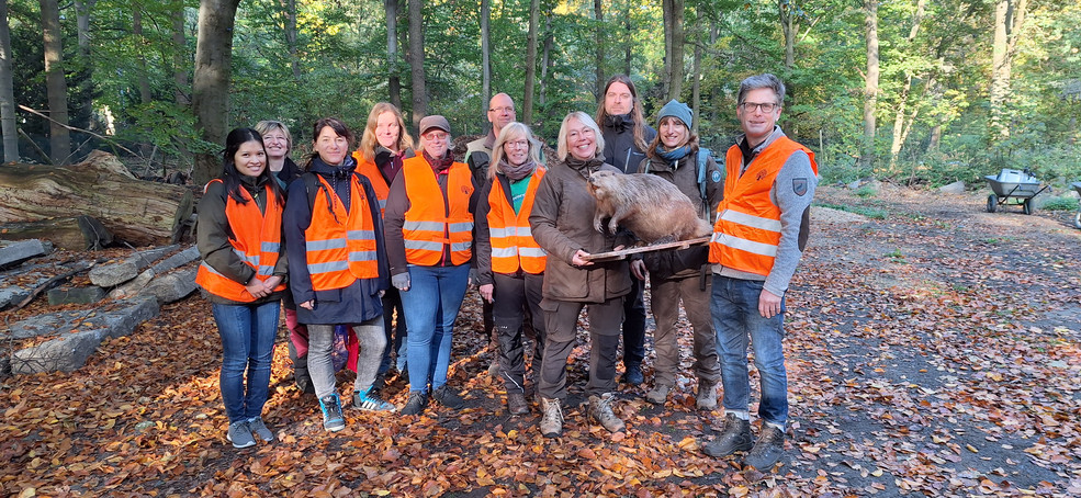 Biberanstrich Tiergarten