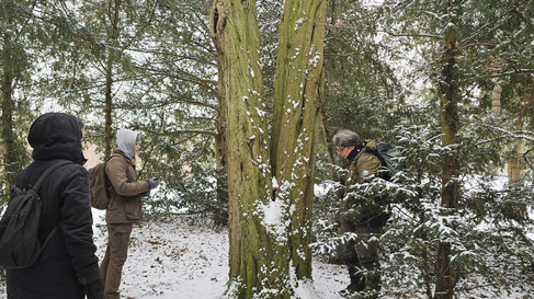 Sabine Böhnig Jede Jahreszeit hat ihre eigenen Aufgaben Regelmäßig prüfen und begehen die Rangerinnen ihre Reviere im Volkspark Friedrichshain, auf der Halbinsel Stralau und – so wie heute – im Viktoriapark. „Auf geht’s, heute suchen wir Nester, Baumhöhlen und Nistkästen“, sagt Rangerin Kristina Roth und erklärt, dass jede Jahreszeit ihre eigenen Aufgaben im Naturschutz mit sich bringt. „Im Moment tragen die Bäume kein Laub – daher ist es die ideale Zeit, Habitatbäume ausfindig zu machen und die Nisthilfen in Augenschein zu nehmen.“ Habitatbäume sind Bäume, die die aufgrund ihres Alters Strukturen aufweisen, die von den Tier- und Pflanzenarten als Habitat genutzt werden können und deshalb geschützt werden. Charakteristisch sind Strukturen wie Höhlen, Risse, Spalten im Holz sowie Totholzanteile und abgestorbene Äste, in denen sich Mikrohabitate bilden – Brutplatz, Unterschlupf oder Nahrungsquelle für etwa