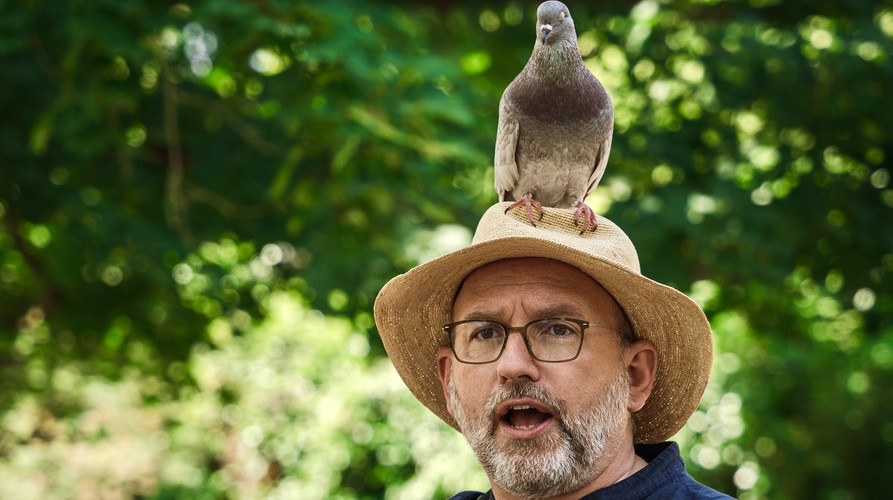 Vorschaubild Langer Tag der StadtNatur