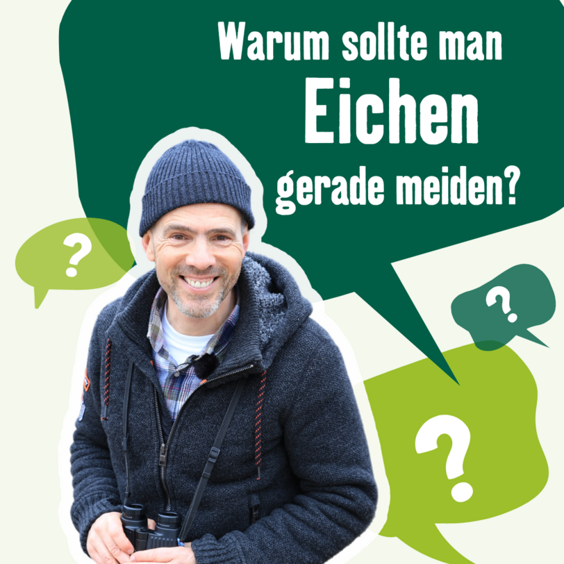 Derk Ehlert Eichenprozessionsspinner