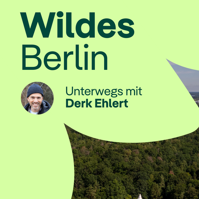 Vorschaubild Wildes Berlin
