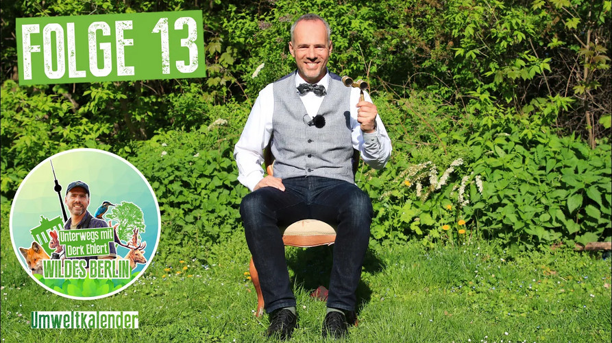 Vorschaubild Wildes Berlin Folge 13