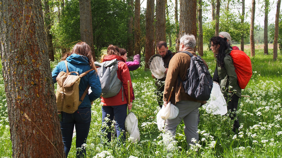 In mehrteiligen Bestimmungskursen bilden wir den Nachwuchs aus 