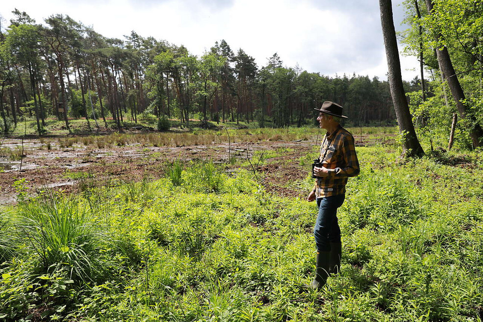 Moorwiese Krumme Laake
