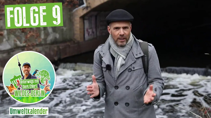 Vorschaubild Wildes Berlin Folge 9