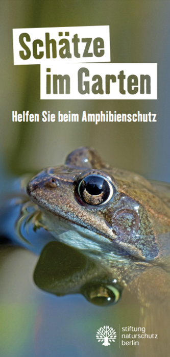 Frontbild_Amphibienflyer