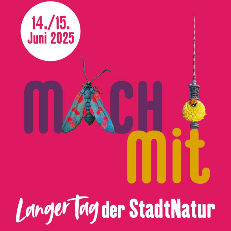 Titelbild Akteur*in Langen Tag der StadtNatur 