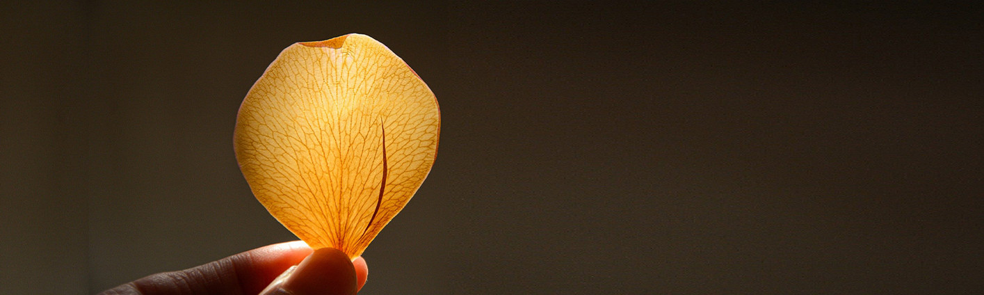 Eine Hand von link reicht einer Hand von rechts eine kleine Pflanze und Erde.