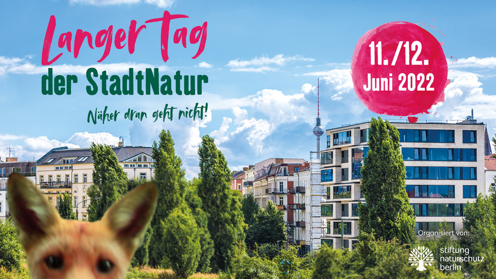 Langer Tag der StadtNatur am 11./12. Juni 2022 Stiftung Naturschutz