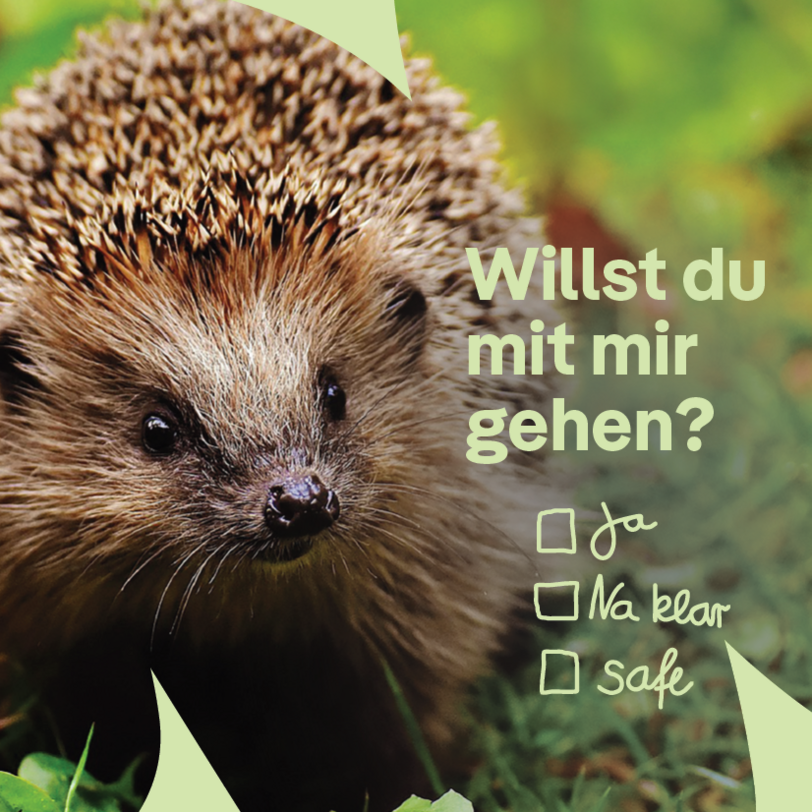 Teaser Bild 