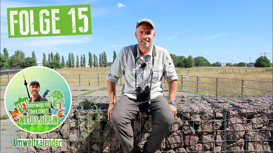 Vorschaubild Wildes Berlin Folge 15