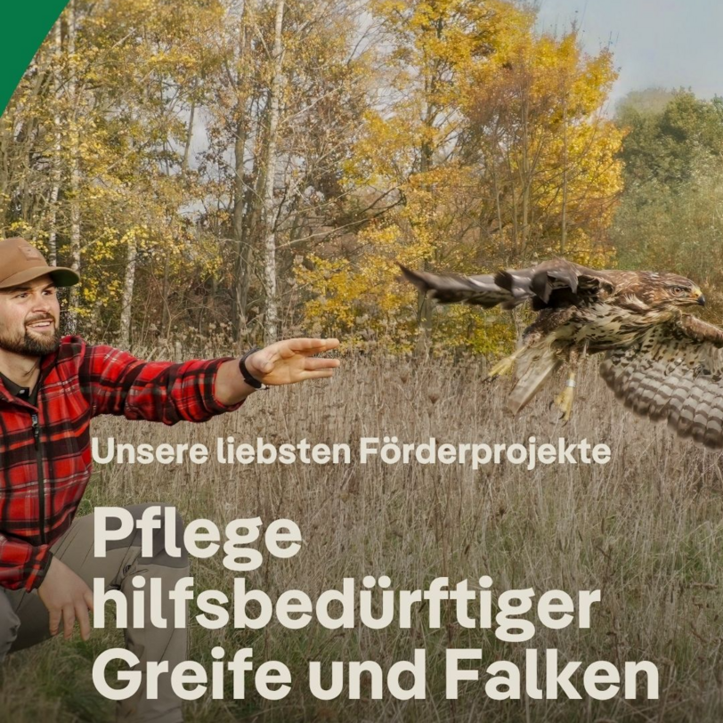 NABU Wildvogelstation 