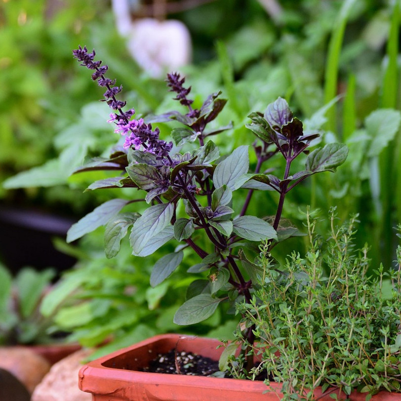 Vorschaubild Veranstaltung