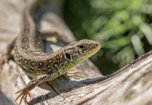 Jahresrückblick 2021