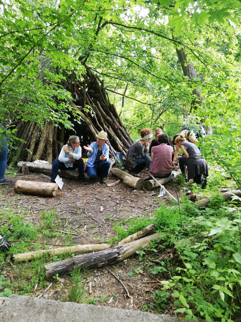 Zu sehen sind mehrere Personen im Wald, sitzend auf abgetrennten Baumstämmen