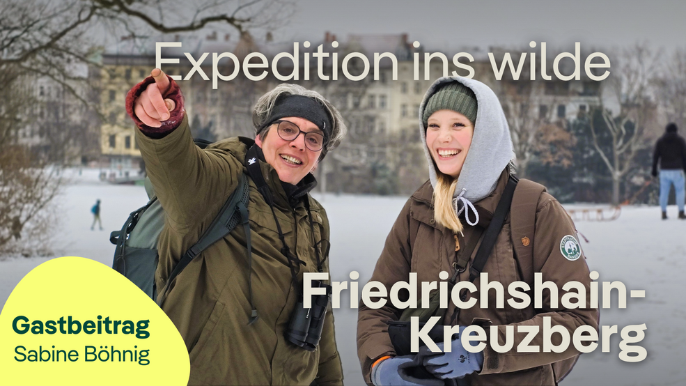 Expedition ins wilde Friedrichshain-Kruezberg