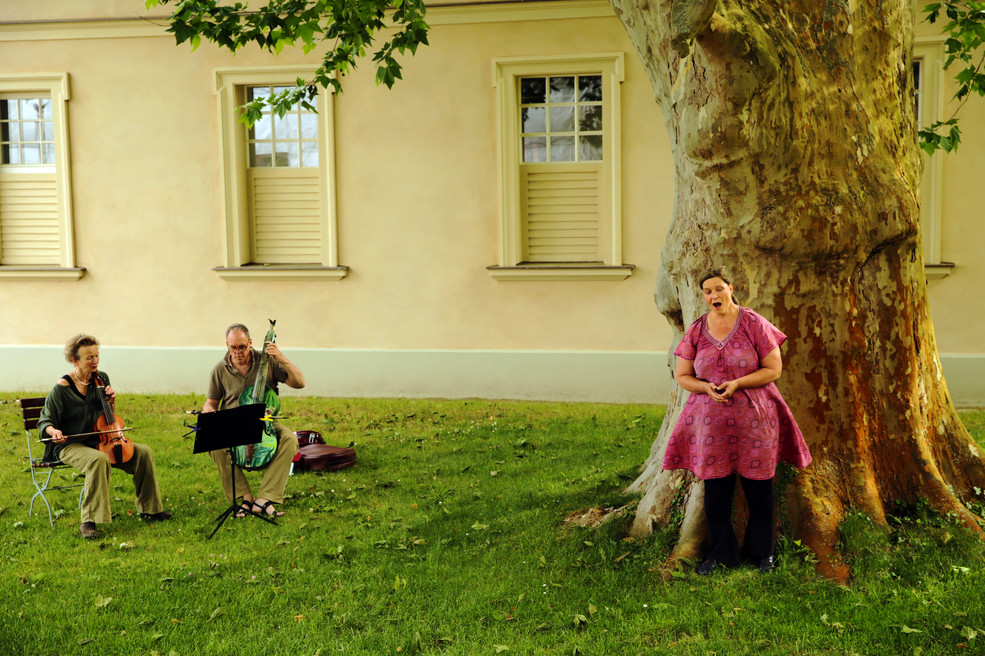 Singen unter Platanen