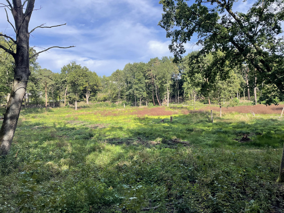 Nachher-Bild Versunkener See