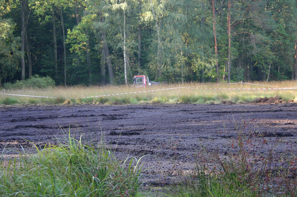 Durch die Pfeifengrasbeseitigung wurden offene Torfflächen hergestellt (Herbst 2012)